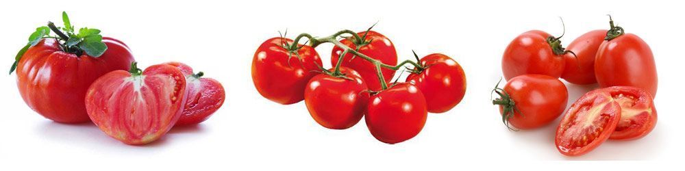Los mejores tomates para gazpacho